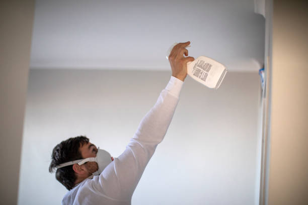 Best Mold Cleaning Services  in Madison, SD