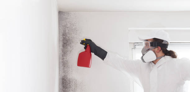 Mold Removal and Inspection in Madison, SD