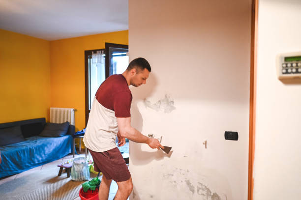 Best Local Mold Removal Service  in Madison, SD